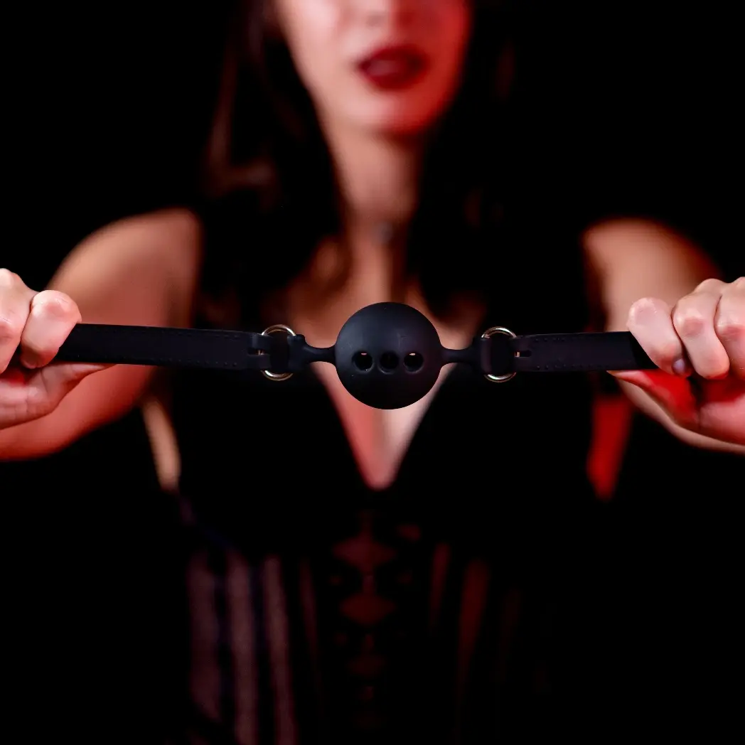 meet consenting adult for bdsm fun in your city at sub or dom